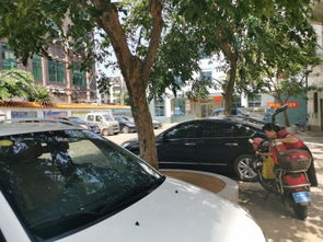 曙光工藝廠宿舍居住體驗(yàn)與周邊租賃市場觀察